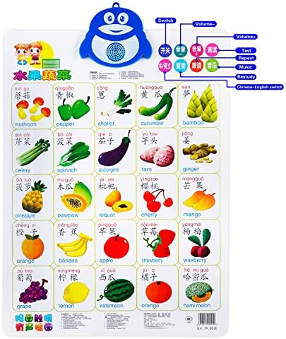 Fun and Educational talking poster; The Electronic Interactive Wall Poster; Touch Activated( Push-To-Talk for kids and adults learning Chinese) 24.4 x 16.5 inches fruits and vegetables chart