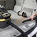 WORKSHOP Wet Dry Vac WS0401VA Portable Wet Dry Vacuum Cleaner For Car, 4-Gallon Wet Dry Auto Vacuum Cleaner, 5.0 Peak HP Portable Auto Vacuum With Accessories For Car Cleaning