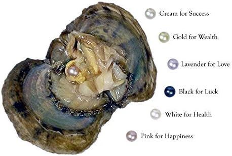 Single Unopened Akoya Oyster Containing A Cultured Pearl Inside 6mm-8mm ~ One Chain Necklace ~ One Oval Shape Cage Charm