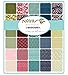 Nova Layer Cake, 42-10 inch Precut Fabric Quilt Squares by BasicGrey for Moda Fabrics