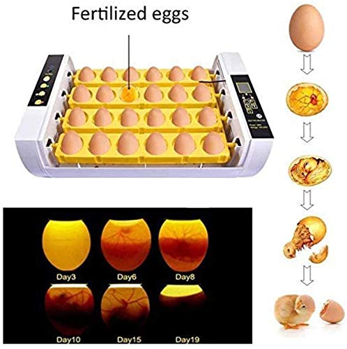 LYRONG Inkubator, Vollautomatische Brutmaschinen, Automatisches Eierdrehen, Temperatur und Feuchtigkeitsregulierung, für… – Bild 3