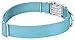 Country Brook Design - Vibrant 30+ Color Selection - Premium Nylon Dog Collar with Metal Buckle (Large, 1 Inch, Ocean Blue)