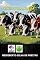 Livro Vaca Holandesa
