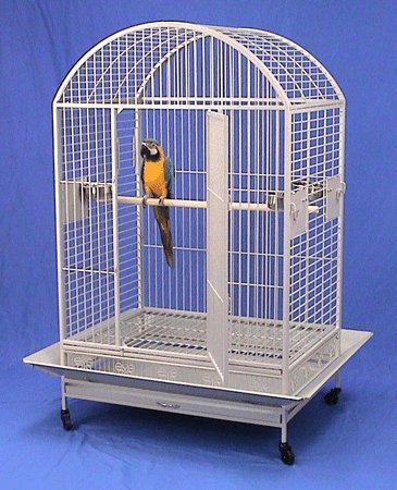 Kilauea Kastle Dometop Bird Cage – 40″ X 30″ X 66″ – Eggshell Vein
