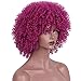 AISI HAIR Afro Curly Wig for Black Women Kinky Curly Hair Wig Glueless Synthetic Afro Wigs for Daily (Purple Color)…