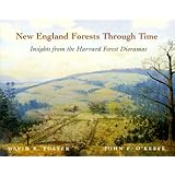 New England Forests Through Time : Insights from the Harvard Forest Dioramas