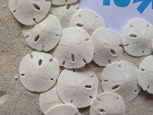 3 Tumbler+Home+Certified+Natural+Dollars