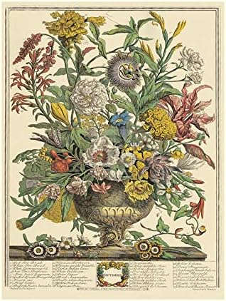 アート・デザイン・音楽 Winterthur's Twelve Months of Flowers Winterthur's Twelve Months of Flowers: MacDonald, Lisa