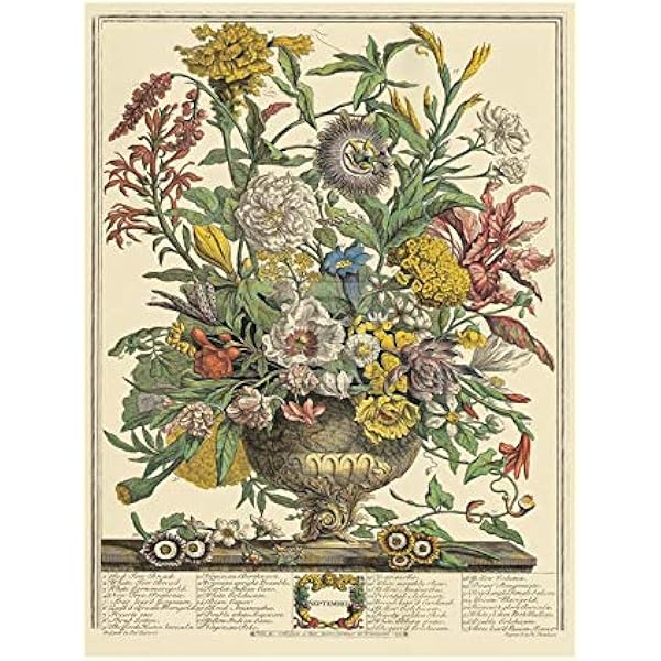 アート・デザイン・音楽 Winterthur's Twelve Months of Flowers Winterthur's Twelve Months of Flowers: MacDonald, Lisa