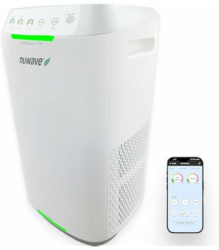 Amazon.com: Wellis Air Purifier for Home Bedroom Living Room