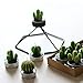 Ogrmar 12 PCS Cactus Candles Decorative Tea Light Candles for Home Party Birthday Wedding Decoration 3 Styles (Green)