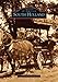 South Holland (IL) (Images of America) by Carrie Steinweg