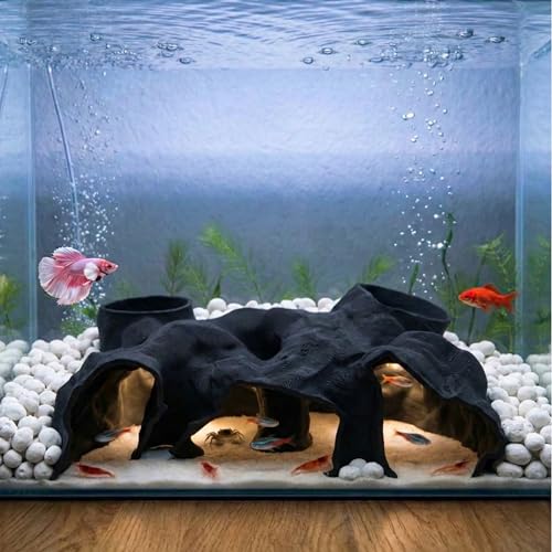 CT SUN Aquarium Tunnel