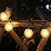 LELLEL 3rd Generation Super Bright Solar Outdoor LED String Lights, Waterproof Weatherproof for Yard Patio Garden Tree Party Wedding Decoration, Warm White 21ft Snow Ball 8 Working Mode