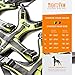 Mighty Paw Sport Harness 2.0 - Padded Canine Accessory - Adjustable Neck and Chest Straps - Enhanced Visibility with Reflective Stitching - Dog Padded Harness with Handle - Large - Green