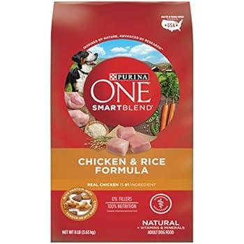 Amazon.com: Purina ONE SmartBlend Natural Chicken & Rice