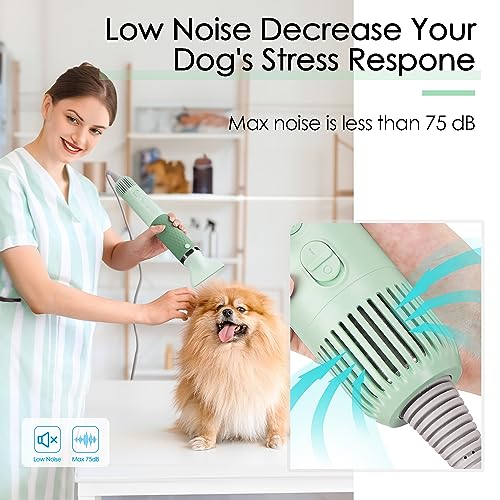 ThinkPet Dog Hair Dryer for Pet Grooming High Velocity Force Blower - Lightweight Portable Dog Dryer for Small Medium Large Dogs Grooming Hair Dryer - 4 Levels Temperature 3 Blow Speed 4 Nozzle Green