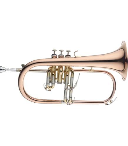 Amazon.com: B&S 3145 Challenger I Intermediate Bb Flugelhorn