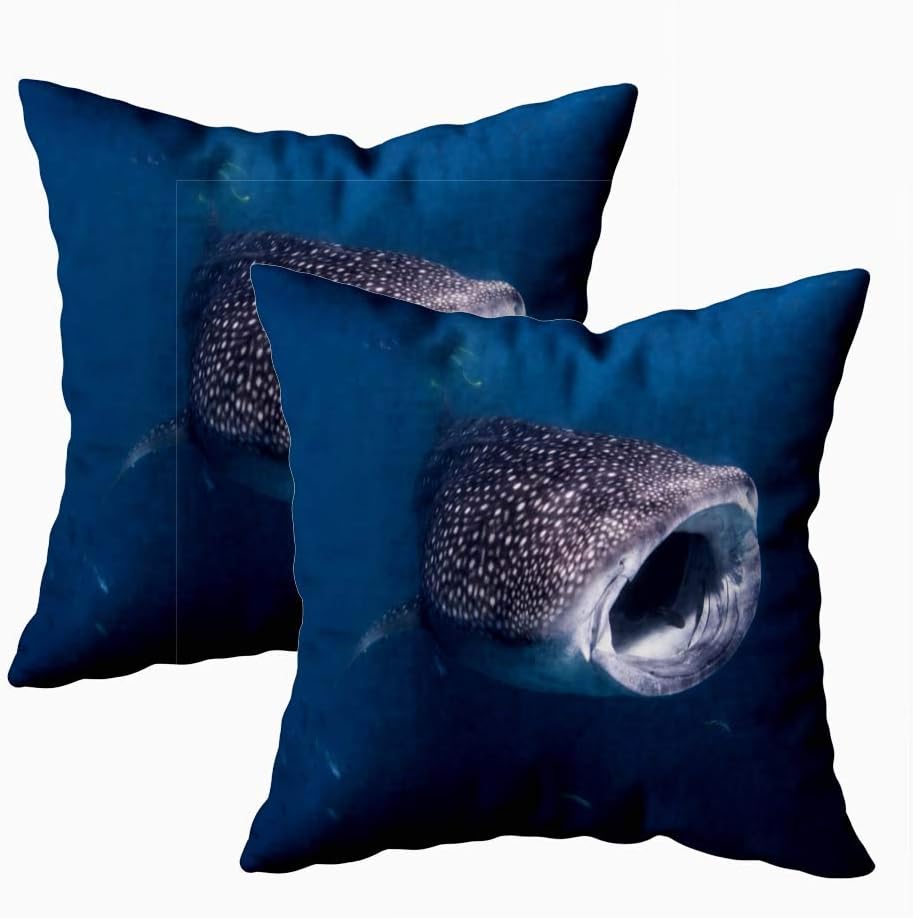 Musesh Comfort Pillow Cover, Pack of 2 Pillow Cases,Seasonal Whale Shark Feeding Western Australia 18X18Inch Decorative Pillowcases for Boys Girls