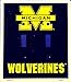 Michigan Wolverines Light Switch Covers (double) Plates LS12014