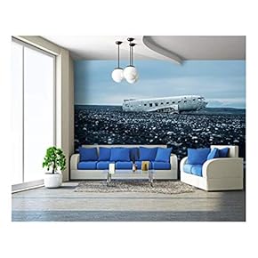 Aircraft Wreckage - Removable Wall Mural | Self-Adhesive Large Wallpaper - 66x96 inches