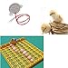 Jili Online AC 110V Automatic Egg Incubator Motor Component Turning Motor Poultry Hatcher DIY Farm