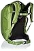 Osprey Porter Travel Backpack Bag, Nitro Green, 46-Liter