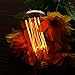 Vintage Light Bulbs, Elfeland 40w Dimmable Squirrel Cage Filament Edison Bulbs ST58 Antique Teardrop Design Retro Pendant Lights for Restaurant Home Office E26/E27 110-130V (2 Pack)