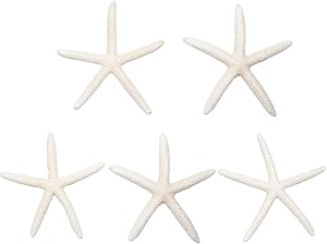 Jangostor 5 PCS Starfish 4-6 Inch Ocean Beach Starfish Natural Colorful Seashells Starfish Perfect for Wedding Decor Beach Theme Party, Home Decorations,DIY Crafts, Fish Tank
