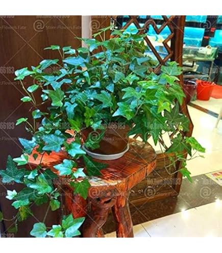 Élément Filtre à Huile Hydraulique 944444Q - Pièce Neuve De Rechange Pour Systèmes Hydrauliques