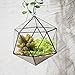 NCYP Hanging Geometric Glass Terrarium, Balcony Windowsill Wall Decor Glass Flower Pot, Modern Large Indoor Garden Tabletop Landscape Icosahedron Planter for Succulents Air Plants (NO Plants)