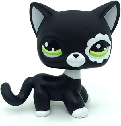 mini blue heeler for sale