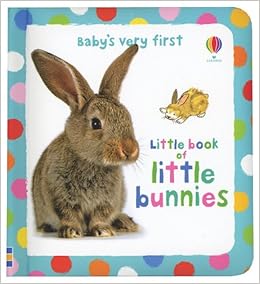 bunny baby book