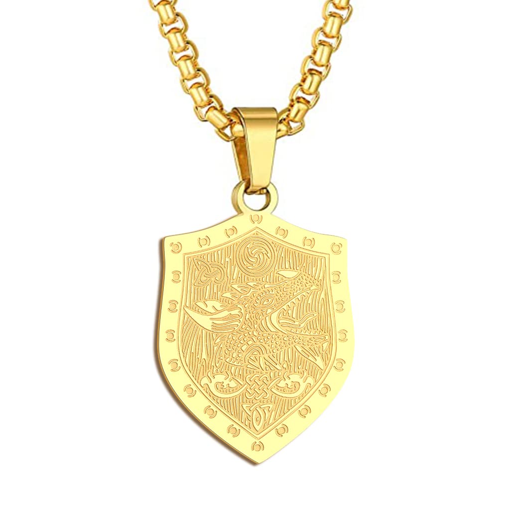 chengxun Dragon Necklace for Men Women Winged Dragon Charm Pendant Chain Unisex Protection Guardian Medallion Occult Jewellery Talisman Amulets Gifts (213G)