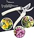 3CR13 Garden Shears Farmer Florist Pruner for Garden Picking Fruit Pruning Regenerated Branches, secateurs, Whitethumb 1
