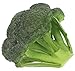 Flora Bunda Broccoli Replica Prop