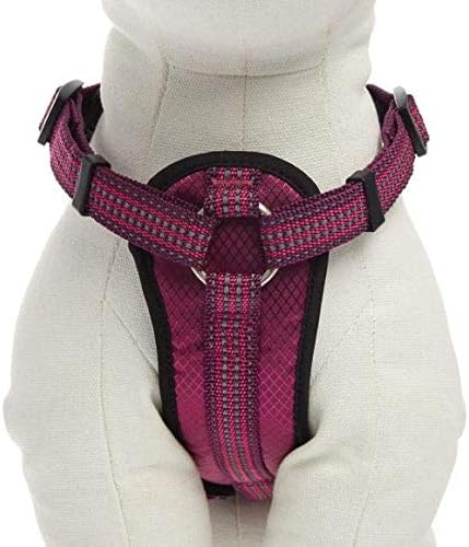kong waste bag harness large