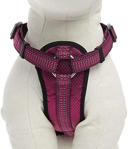 kong harness with pouch
