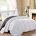 CAIMOUR All-Season Comforter
