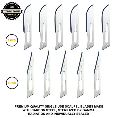 Advanced Biology Anatomy Dissection Kit | Premium Stainless Steel | 24 Pcs Dissecting Tools Set with Scalpel Knife Handle for Medical Students | Gloves & Scale Included in Case