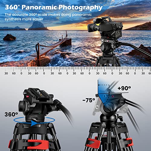 80" /203cm Video Tripod Heavy Duty Tripod with 360° Fluid Head,Mactrem Aluminum Tall Tripods