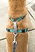 PetSafe 3-in-1 Harness - Comfortable Easy-Walk Dog Chest Harness with Front Leash Attachment to Reduce Pulling, Choking & Gagging - Dog Obedience Gear - Large- Teal