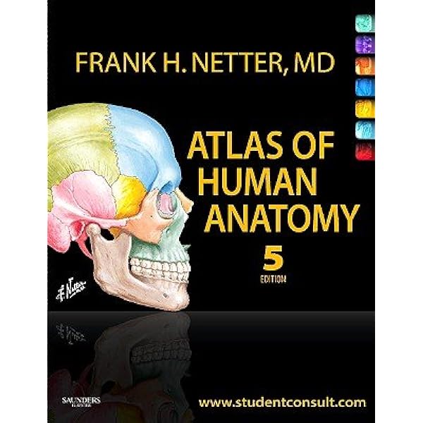 Amazon.com: Atlas of Human Anatomy, 4th Edition: 9781416036999