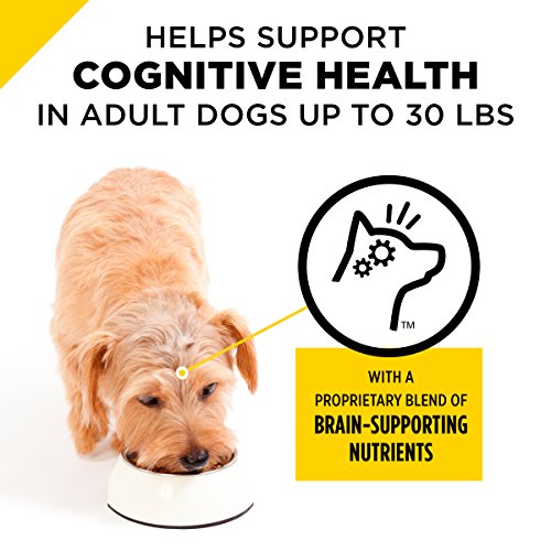 purina one bright mind