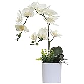 Omygarden White Orchid Artificial Flowers in Pot, Fake Plastic Orchid Flowers, Decoration for Home Office Wedding(White 2 Bouquets)