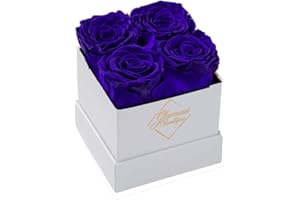 GLAMOUR BOUTIQUE Preserved Roses in a Box - Valentines Day Gifts for Her & Mom, 4 Roses Flowers Decor for Birthday Gift, Cased in A Square Gift Box with Lid, 4” x4” x5 - Blue