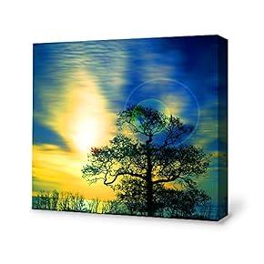 for Living Room Bedroom Home Artwork Paintings Secret...