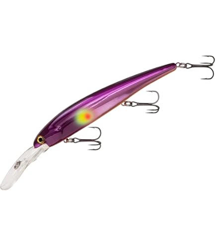 Amazon.com : Bandit Lures BDTWBD2B18 Walleye Deep Electric Zebra