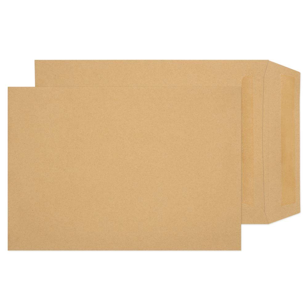 Blake Purely Everyday 254 x 178 mm 90 gsm Pocket Self Seal Envelopes (9067) Manilla - Pack of 500 — image 1
