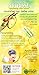 Garnier Nutrisse Nourishing Hair Color Creme, 76 Rich Auburn Blonde (Hot Tamale), 3 Count (Packaging May Vary)